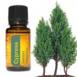 Esenciálny olej Cypress (cyprus) DoTerra