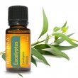 Esenciálny olej Eucalyptus (eukalyptus) DoTerra