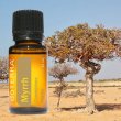 Esenciálny olej Myrrh (myrha) DoTerra